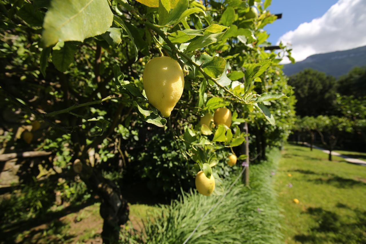 Villa Catie กาสเตลลัมมาเร ดิ สตาเบีย ภายนอก รูปภาพ